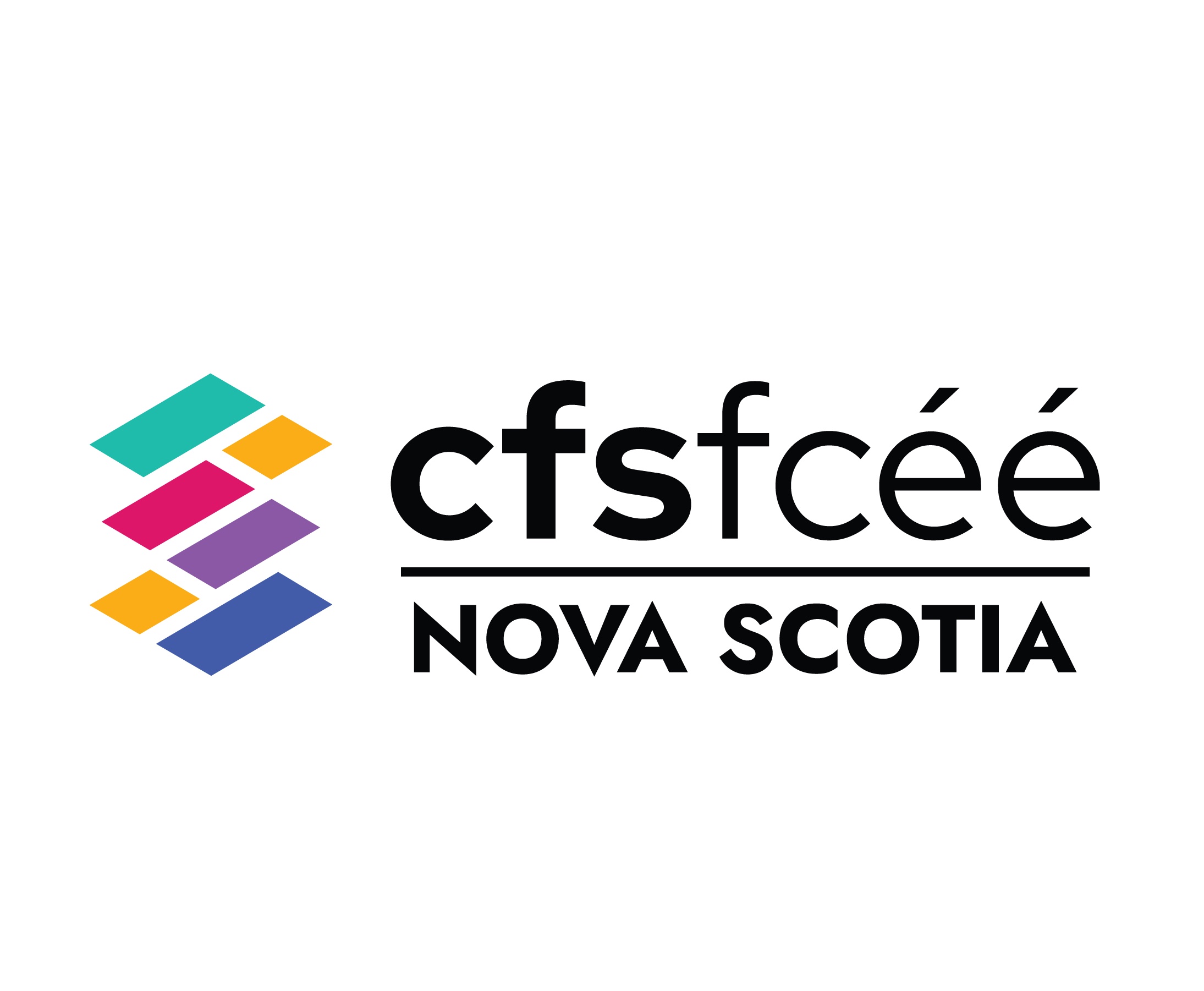 CFS - NS logo-25